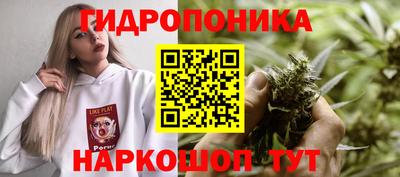 spice Волжский