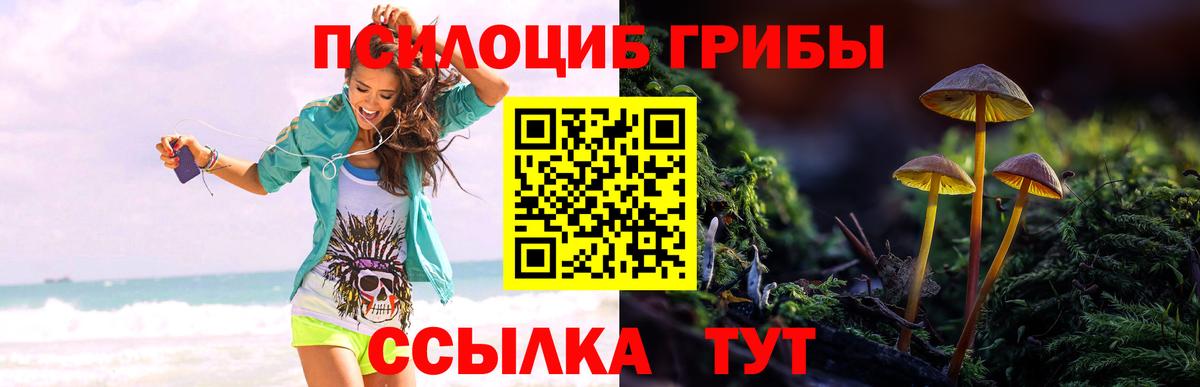 Псилоцибиновые грибы прущие грибы Бахчисарай